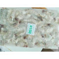 Crevettes blanches importées gelées Litopenaeus Vannamei Hoso